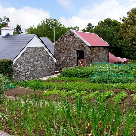 Дом отдыха Kiltimagh Cottage Килтама